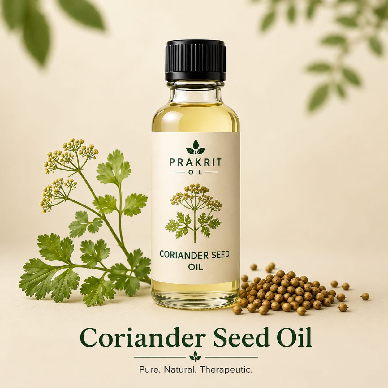 Coriander Seeds oil